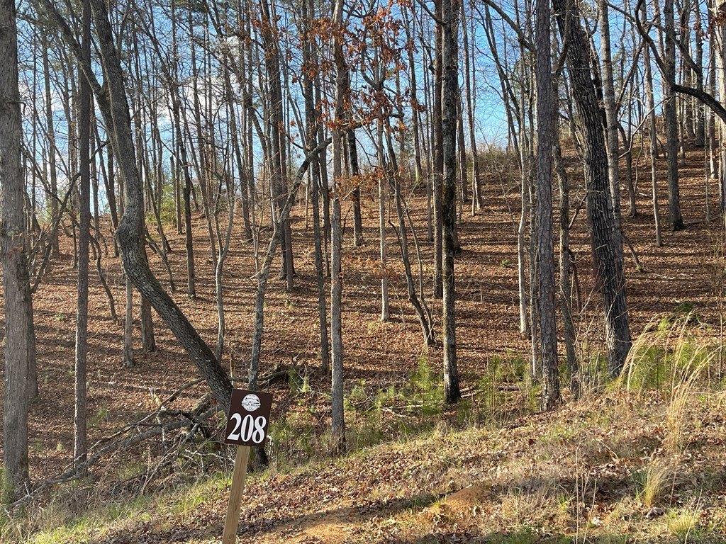 Picture 23