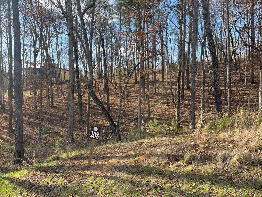 Picture 22