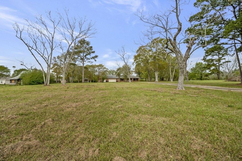 Picture 11