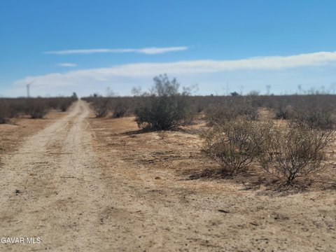 Expansive Land in West Rosamond