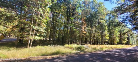 Land, Albrightsville, PA