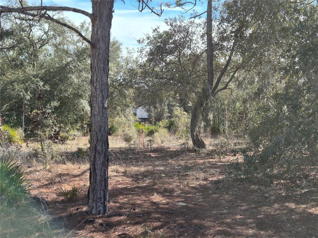 Picture 6