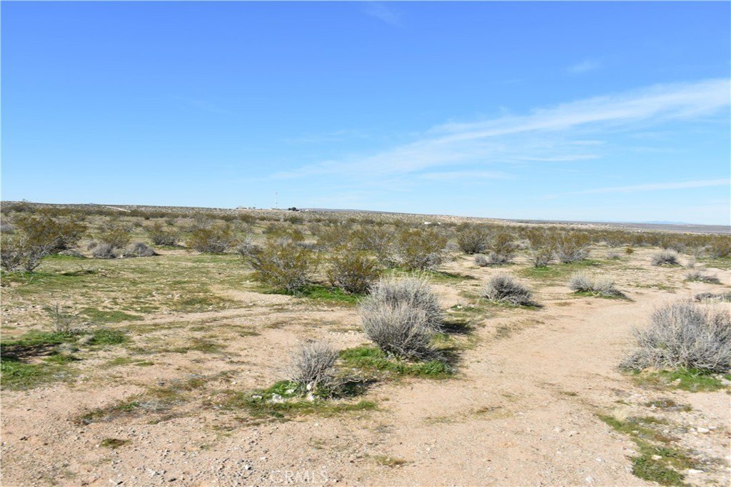 Picture 21