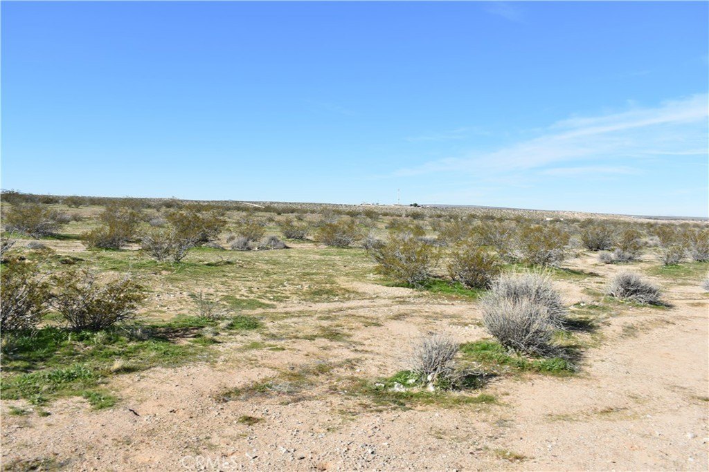 Picture 20