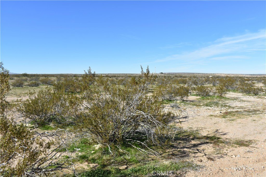 Picture 8