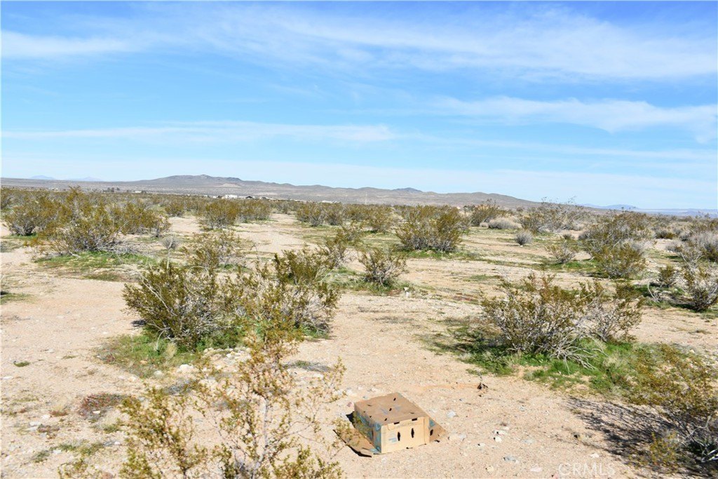 Picture 26