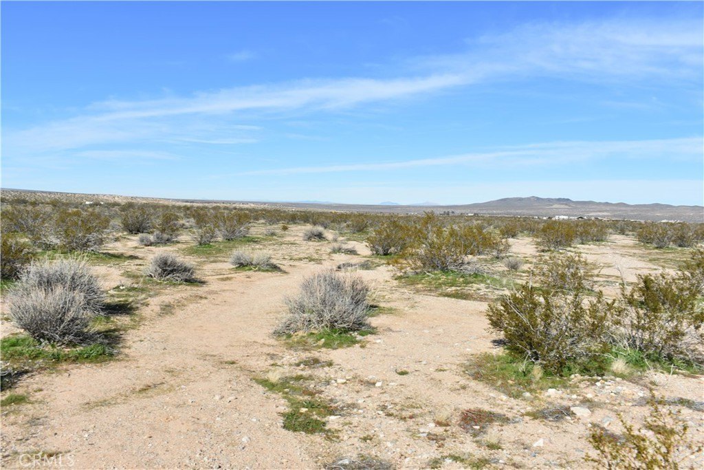 Picture 23