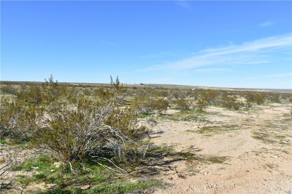 Picture 9