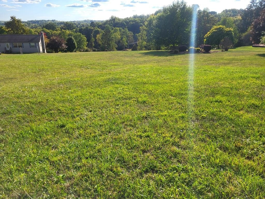 Picture 4