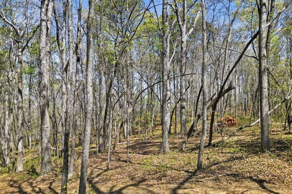 Wooded Homesite in Ball Ground