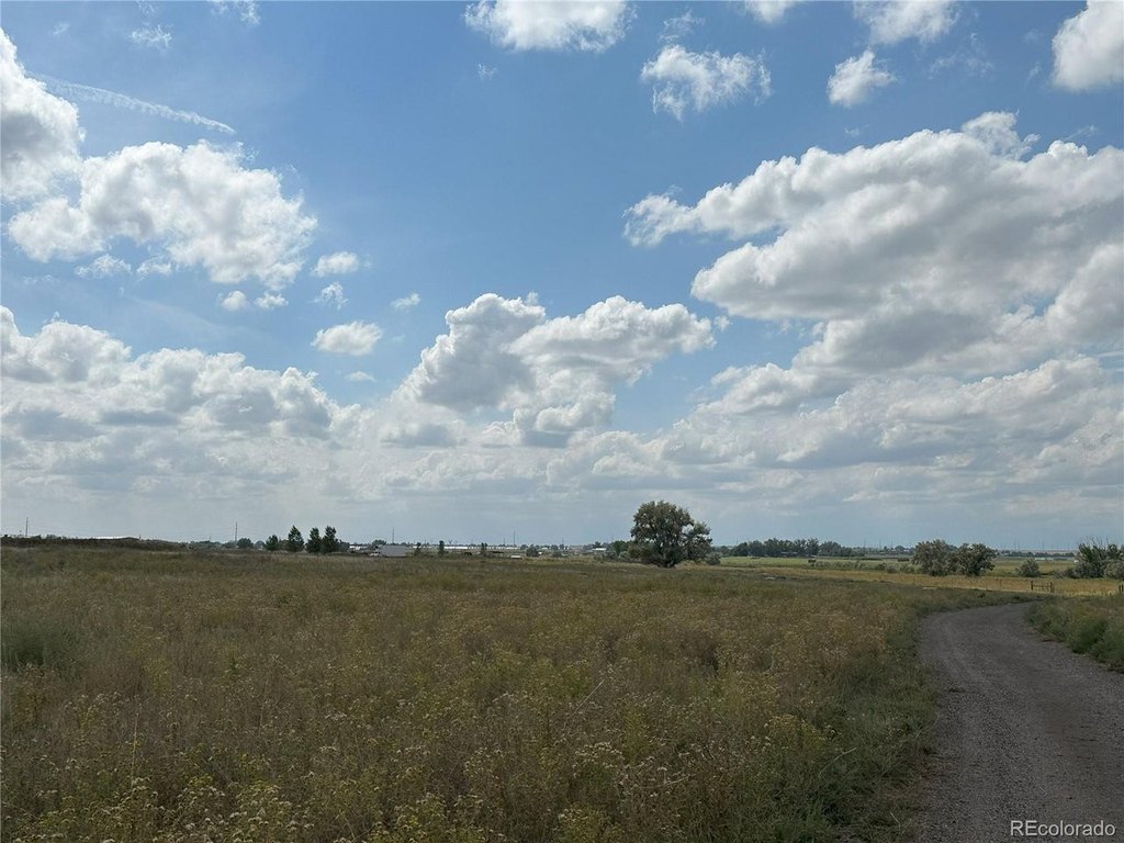 Picture 17