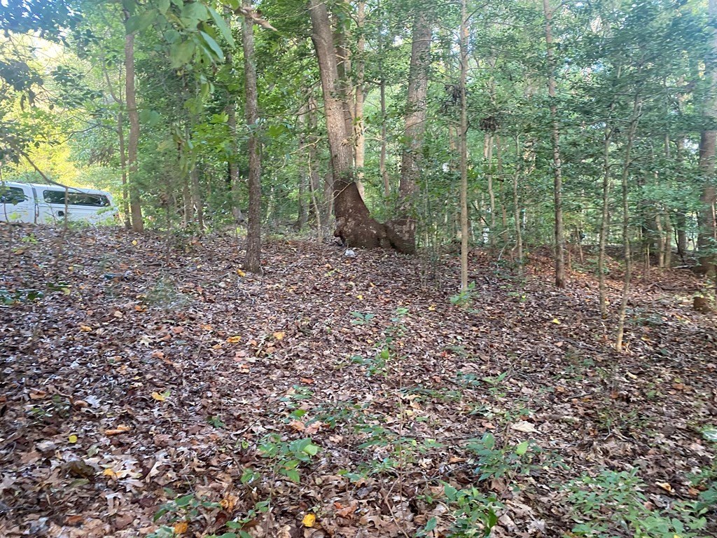 Picture 7