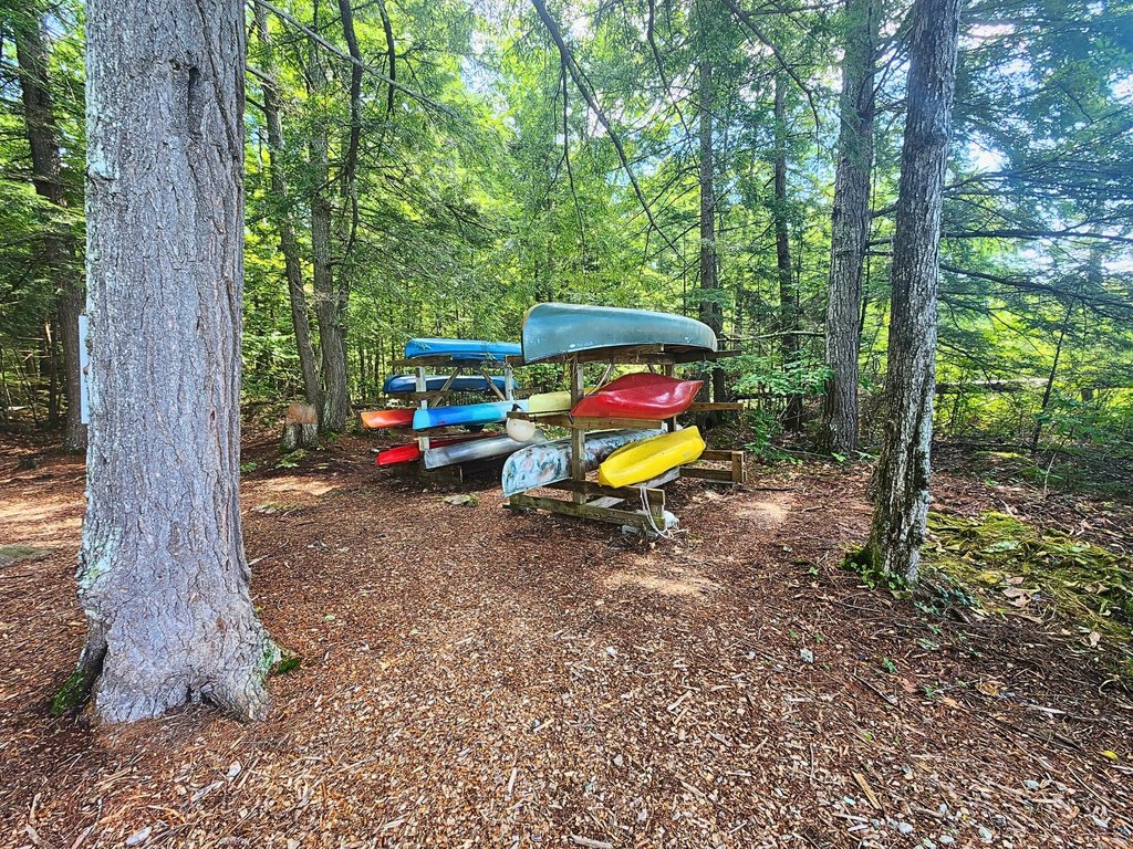 Picture 16