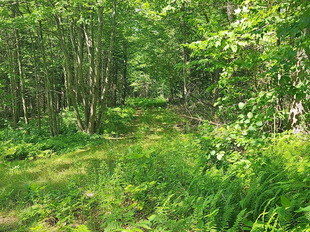 Picture 6