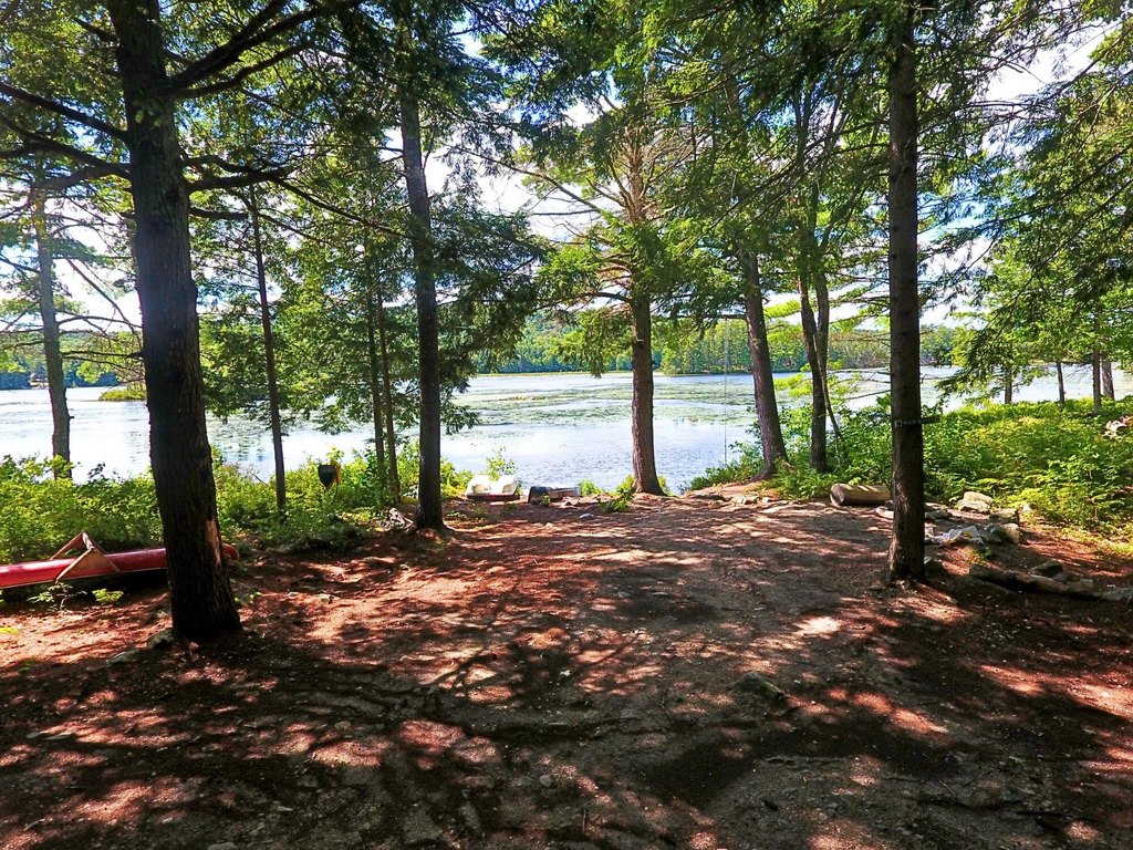 Picture 9