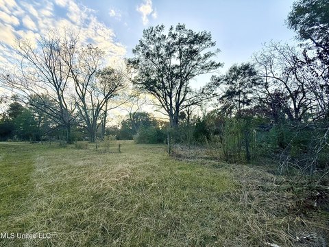 10 Acres on Rainey Road