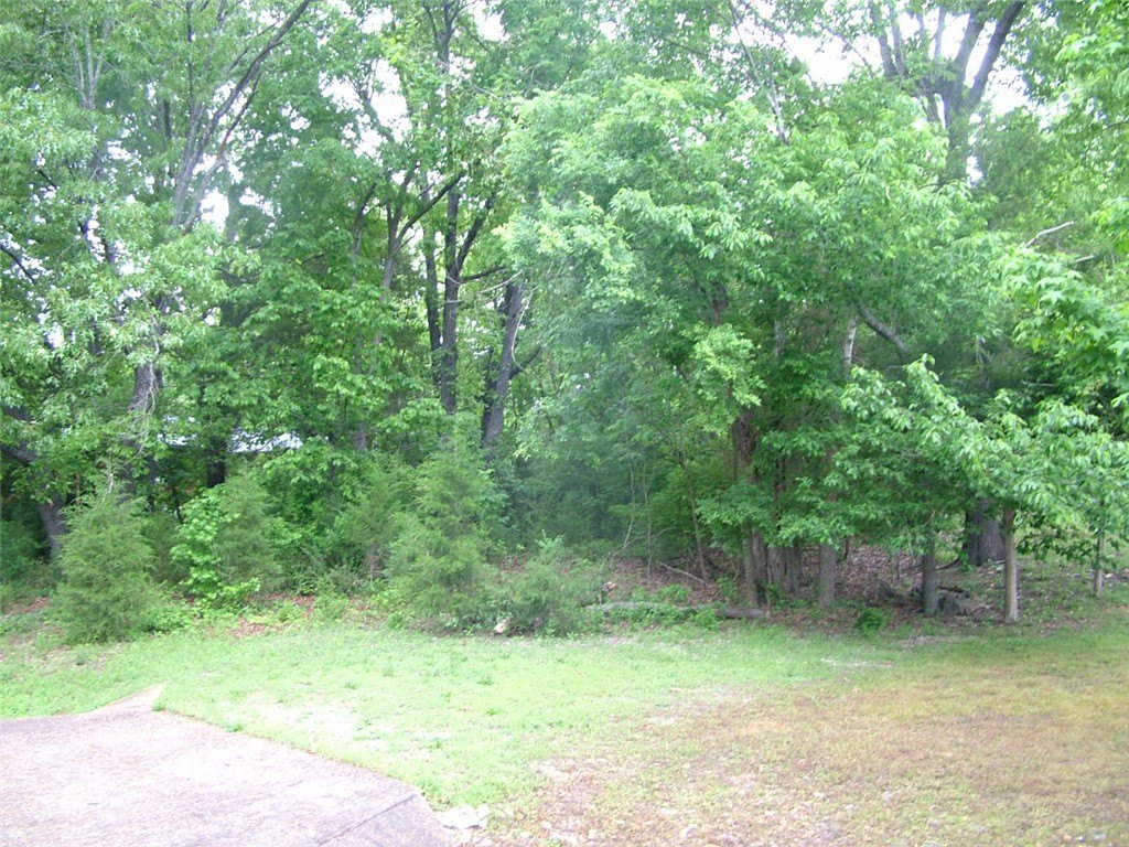 Residential Lot in Northern Hills
