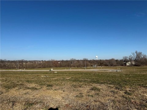 Residential Land in Raymore, MO