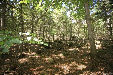 Land, Accord, NY