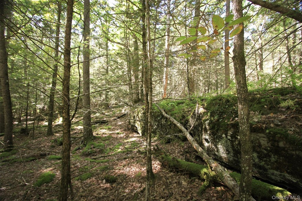 Picture 3