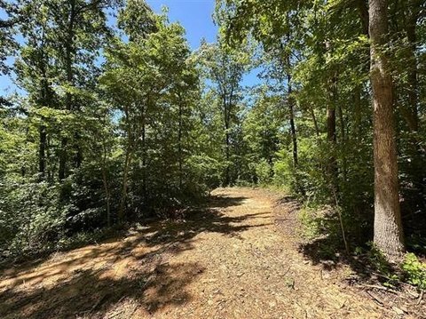 Residential/Recreational Land Near Bowling Green