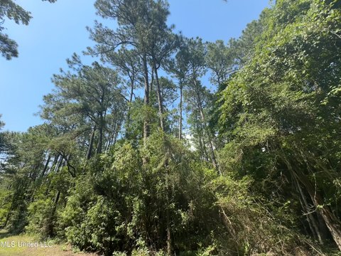 LAND - Ocean Springs, MS