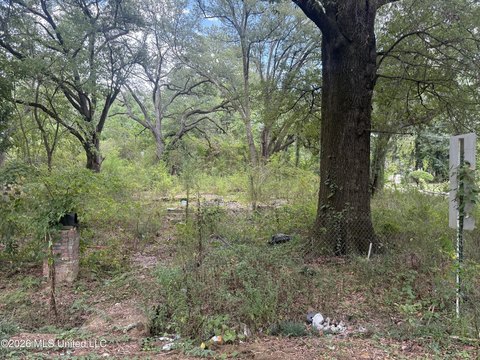 Land, Jackson, MS
