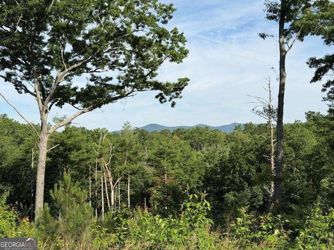 LAND - Ellijay, GA
