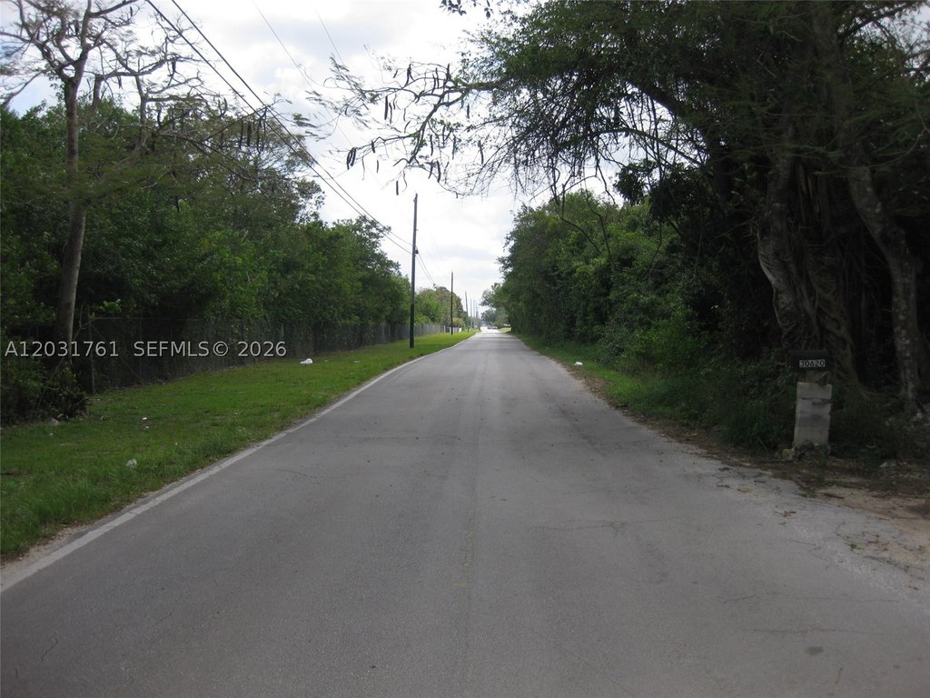 Picture 8