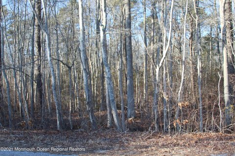 LAND - Barnegat, NJ