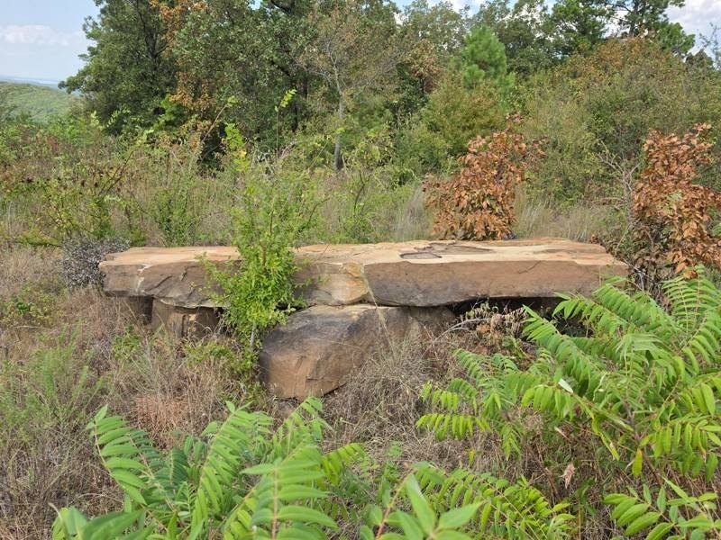 Picture 4