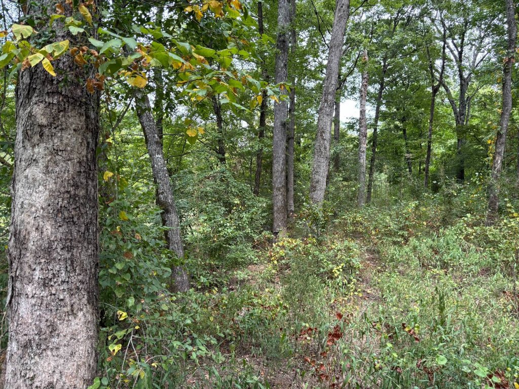 Picture 38