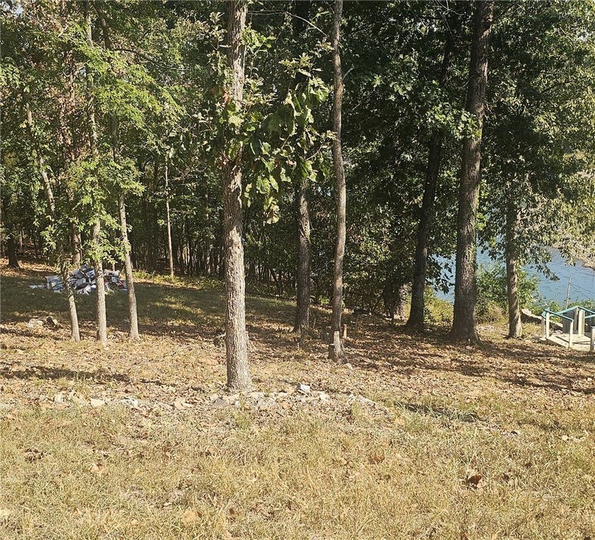 Picture 2