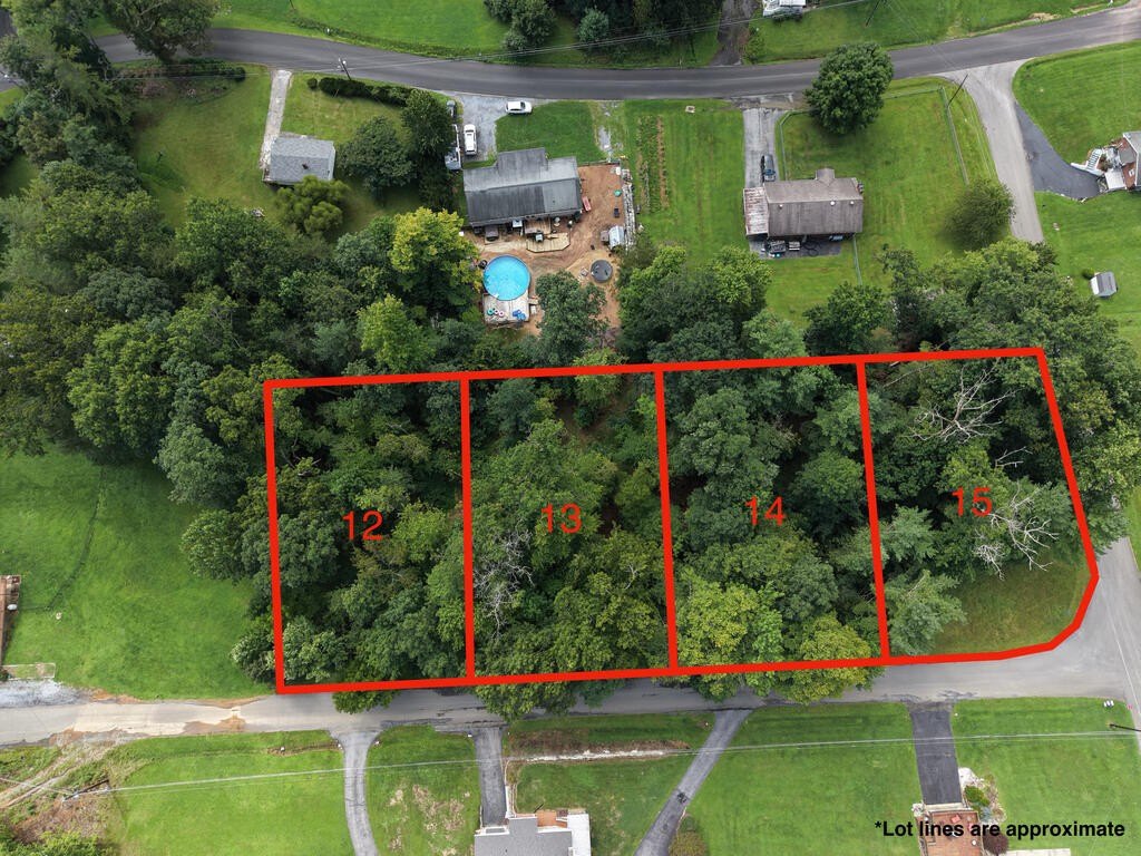 Picture 4