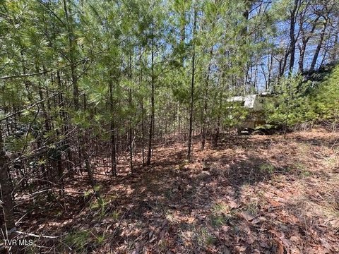 Wooded Lot in Saddlebrook Farms
