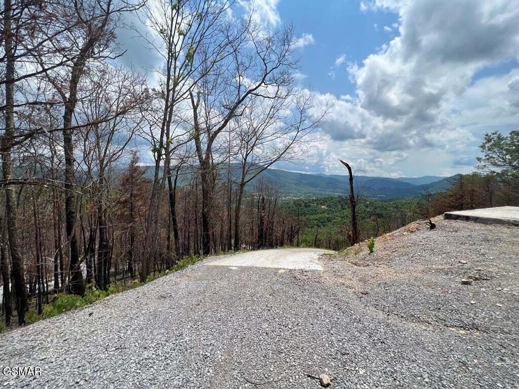 Picture 2