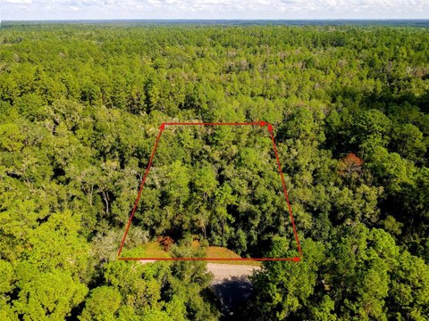 Land, CITRUS SPRINGS, FL