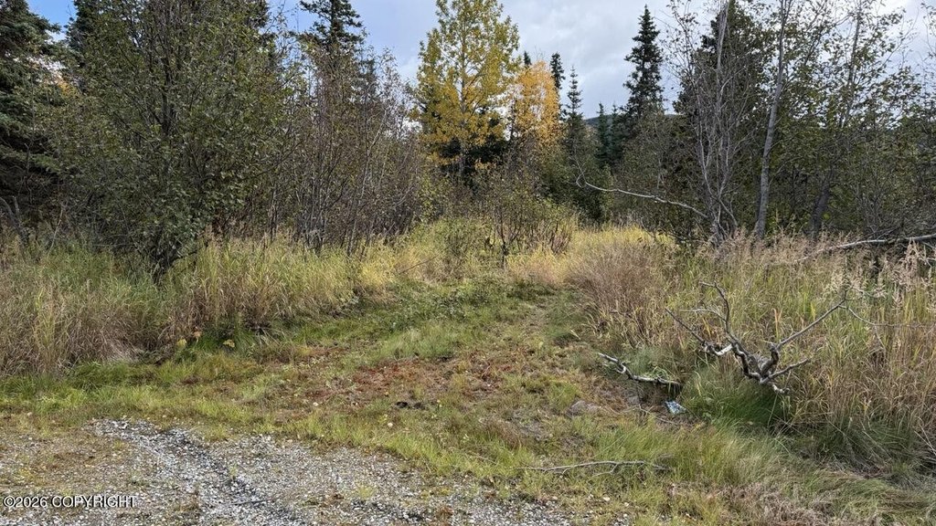 Picture 9