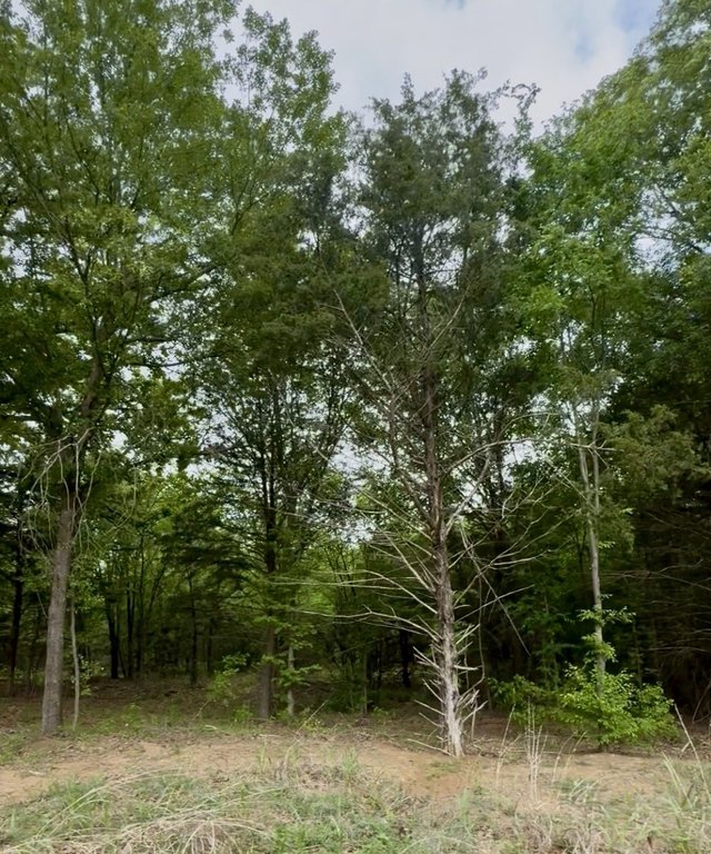 Picture 7
