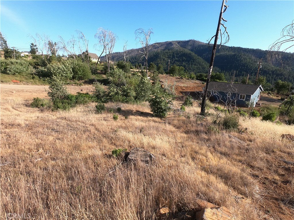 Picture 19