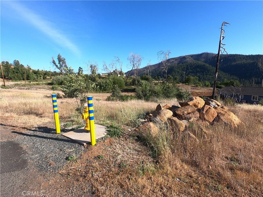 Picture 15