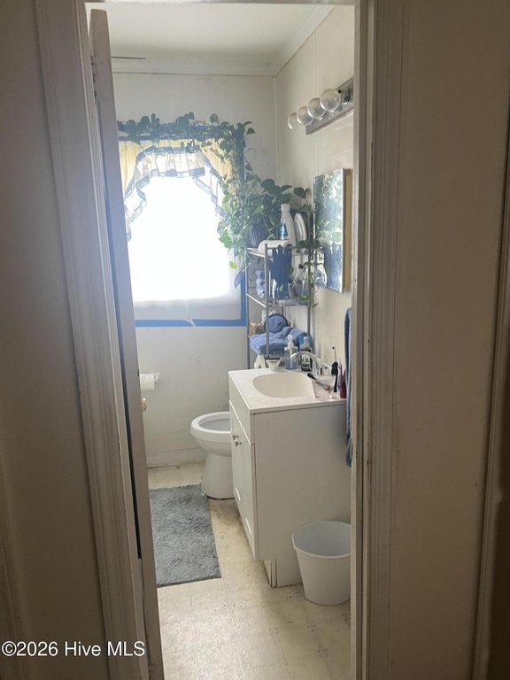 Picture 16