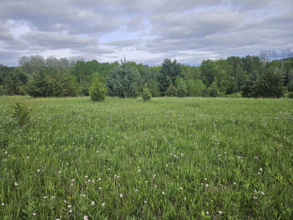 Picture 41