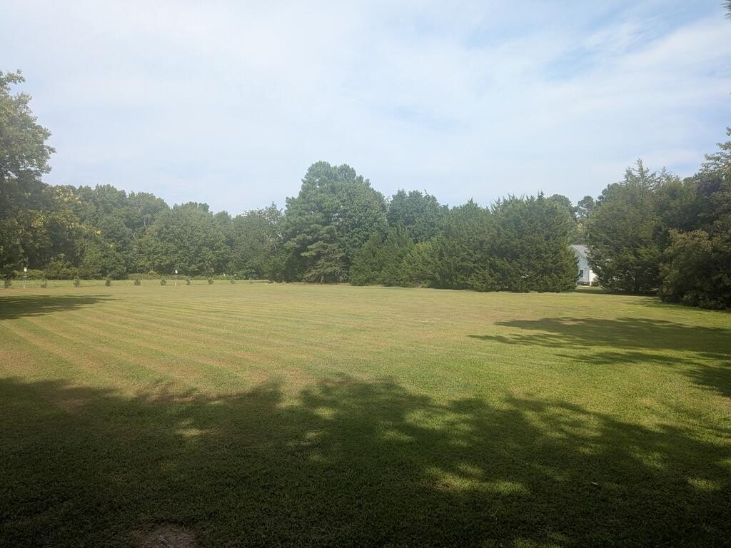 Picture 4