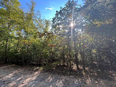 Wooded Lot Near Blairsville, Murphy