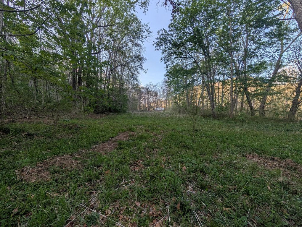 Picture 6