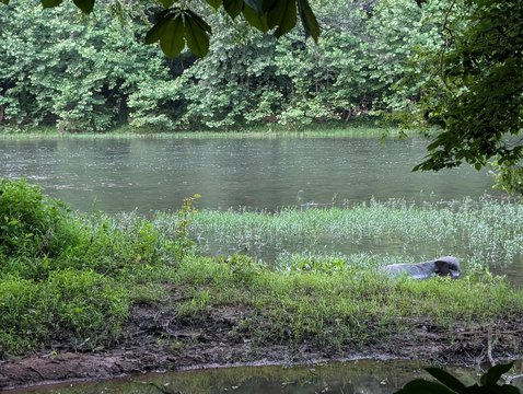 LAND - Lewisburg, WV