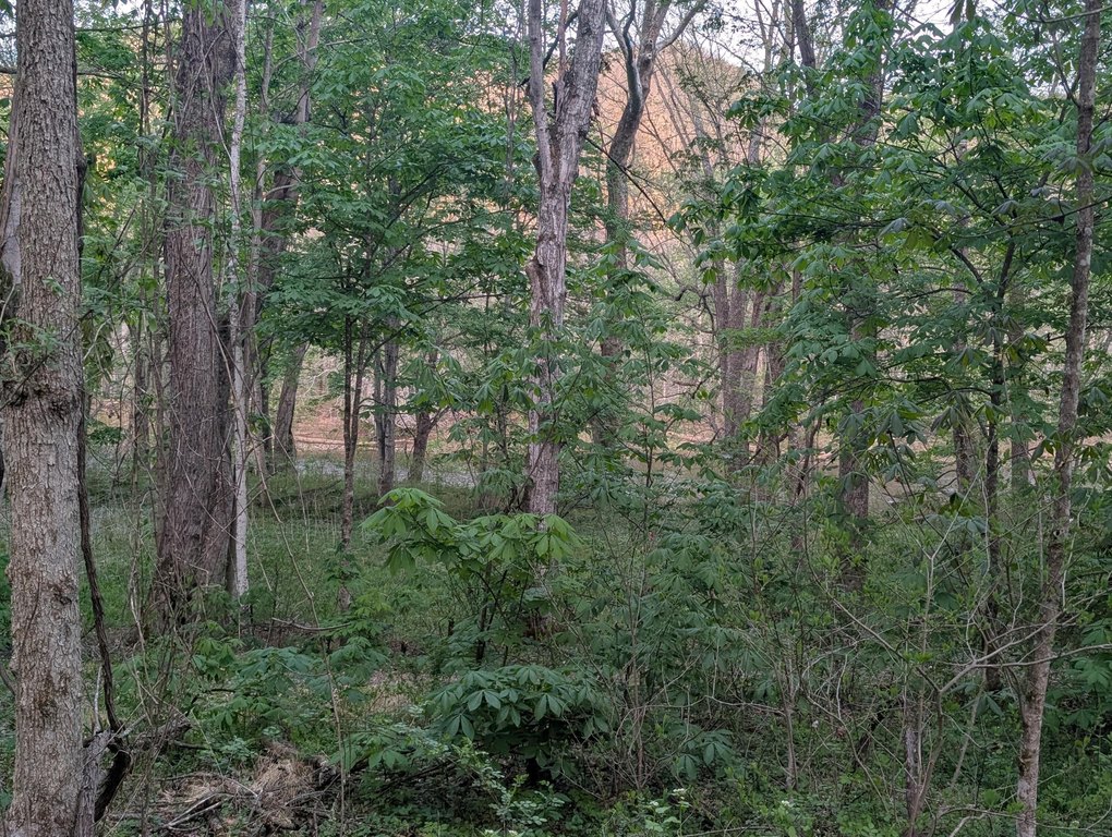 Picture 4