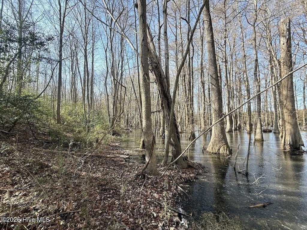 Picture 42