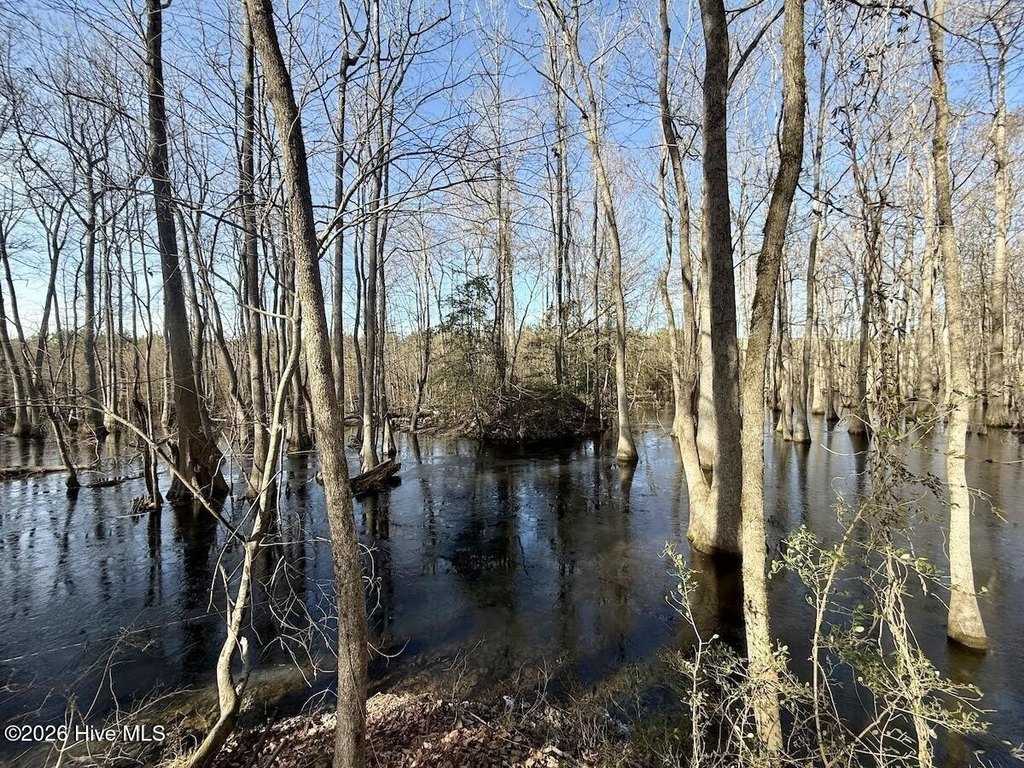 Picture 47